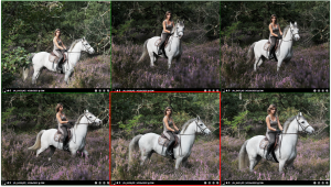 Editing photo cheval